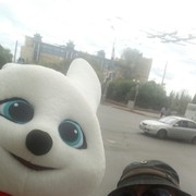  ,   , 42 ,  