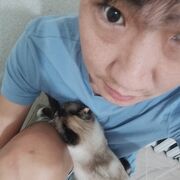 ���������� ����������, ������� ����, 33