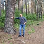 ���������� ������, ���� ������� ������, 45 ���, ������������ ��� ������, ����� � ���������