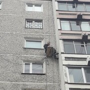 ���������� ������, ���� ������� �����, 36 ���, ������������ ��� ������, ����� � ���������, c�������� ���������, ���������