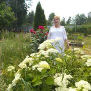 ���������� ������, ���� ������� �����, 67 ���, ������������ ��� ������, ����� � ���������