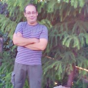  ,   , 44 ,   