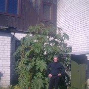  ,   , 53 ,   
