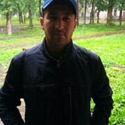 ���������� �����, ���� ������� Gayrat, 33 ����, ������������ ��� ������, ����� � ���������, c�������� ���������