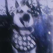 ���������� �������, ���� ������� ���, 55 ���, ������������ ��� ������, ����� � ���������, c�������� ���������