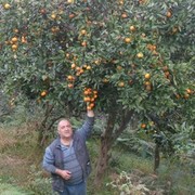  ,   Merabi, 64 ,   
