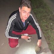 ���������� ������, ���� ����� ��������, 22 ����, ������������ ��� ������, ����� � ���������, c�������� ���������, ���������