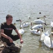 ���������� ����, ���� ������� ������, 30 ���, ������������ ��� ������, ����� � ���������, c�������� ���������