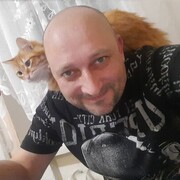  --,   , 46 ,   ,   