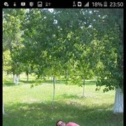 ���������� ������, ���� ������� ������, 39 ���, ������������ ��� ������, ����� � ���������, c�������� ���������