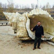 ���������� �����-���������, ���� ������� ���, 47 ���, ������������ ��� ������