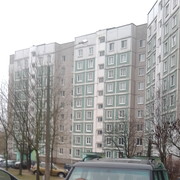 ���������� �����, ���� ������� ���������, 44 ����, ������������ 