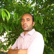  ,   LUTFULLO, 49 ,   ,   , c 