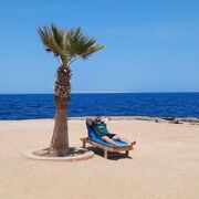 ���������� �����, ���� ������� ����, 29 ���, ������������ ��� ������, ����� � ���������