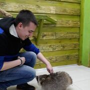  ,   , 31 ,  