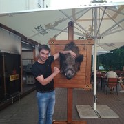 ���������� ����������, ���� ������� �����, 33 ����, ������������ ��� ������, ����� � ���������, c�������� ���������