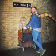 ���������� ����������, ���� ������� ������, 39 ���, ������������ ��� ����� � ���������, c�������� ���������