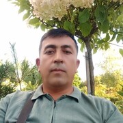  ,   , 43 ,     , 