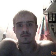  Gibbon,  , 37