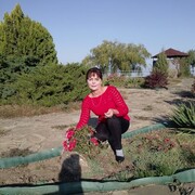  ,   , 46 ,   c 