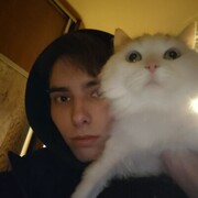 ���������� ������, ���� ����� �������, 23 ����, ������������ ��� ������, ����� � ���������, c�������� ���������, ���������