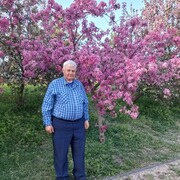  ,   Igor, 65 ,   ,   , c , 