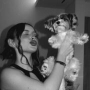 ���������� �������, ������