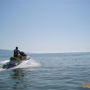 ���������� ����������, ���� ������� ���������, 46 ���, ������������ ��� ������