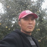  ,   , 42 ,     , c 