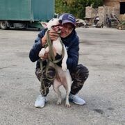  ,   , 56 ,   ,   , c , 