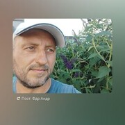  ,  , 43
