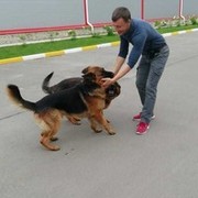  ,   , 44 ,   ,   , c 