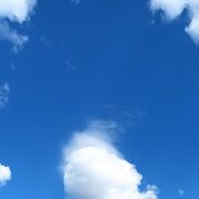 ���������� ������������, ���� ����� �������, 24 ����, ������������ ��� ������, ����� � ���������, c�������� ���������