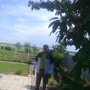  ,   , 60 ,   