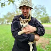 ���������� ��������, ������� �����, 33