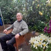 ���������� �����������, ���� ������� ����, 70 ���, ������������ ��� ������, ����� � ���������, c�������� ���������, ���������