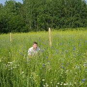 ���������� �����, ���� ������� ������, 33 ����, ������������ ��� ������, ����� � ���������