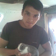 ���������� ����, ���� ������� Hurshid, 38 ���, ������������ ��� ���������