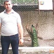 ���������� ������, ���� ������� Arman, 43 ����, ������������ ��� ������