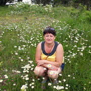 ���������� �����������, ���� ������� �������, 56 ���, ������������ ��� ������, ����� � ���������