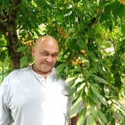 ,   , 60 ,   ,   