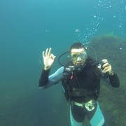 ���������� ������, ���� ������� ������, 38 ���, ������������ ��� ����� � ���������, c�������� ���������