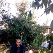  ,   , 61 ,   ,   , c 