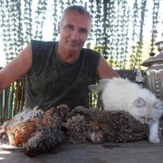 ���������� �����, ���� ������� ��������, 66 ���, ������������ ��� ������, ����� � ���������, c�������� ���������