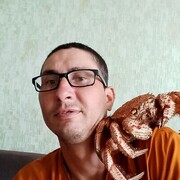 ���������� ���������, ���� ������� ������, 34 ����, ������������ ��� ������, ����� � ���������, c�������� ���������, ���������