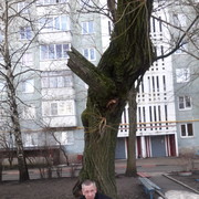  ,   , 56 ,     , c 