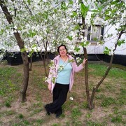  ,   , 65 ,   ,   