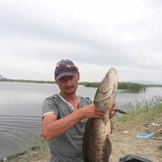 ���������� ������, ���� ������� �����, 44 ����, ������������ ��� ������, ����� � ���������