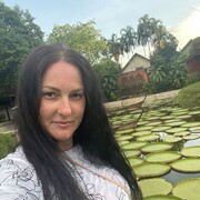 ���������� ������, ���� ������� ������, 43 ����, ������������ ��� ������, ����� � ���������