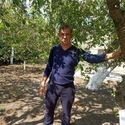 ���������� ������, ���� ������� ����, 47 ���, ������������ ��� ������, ����� � ���������, c�������� ���������